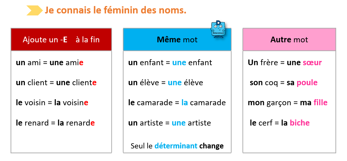 Leçons 32 et 33 - Le féminin des noms et des adjectifs